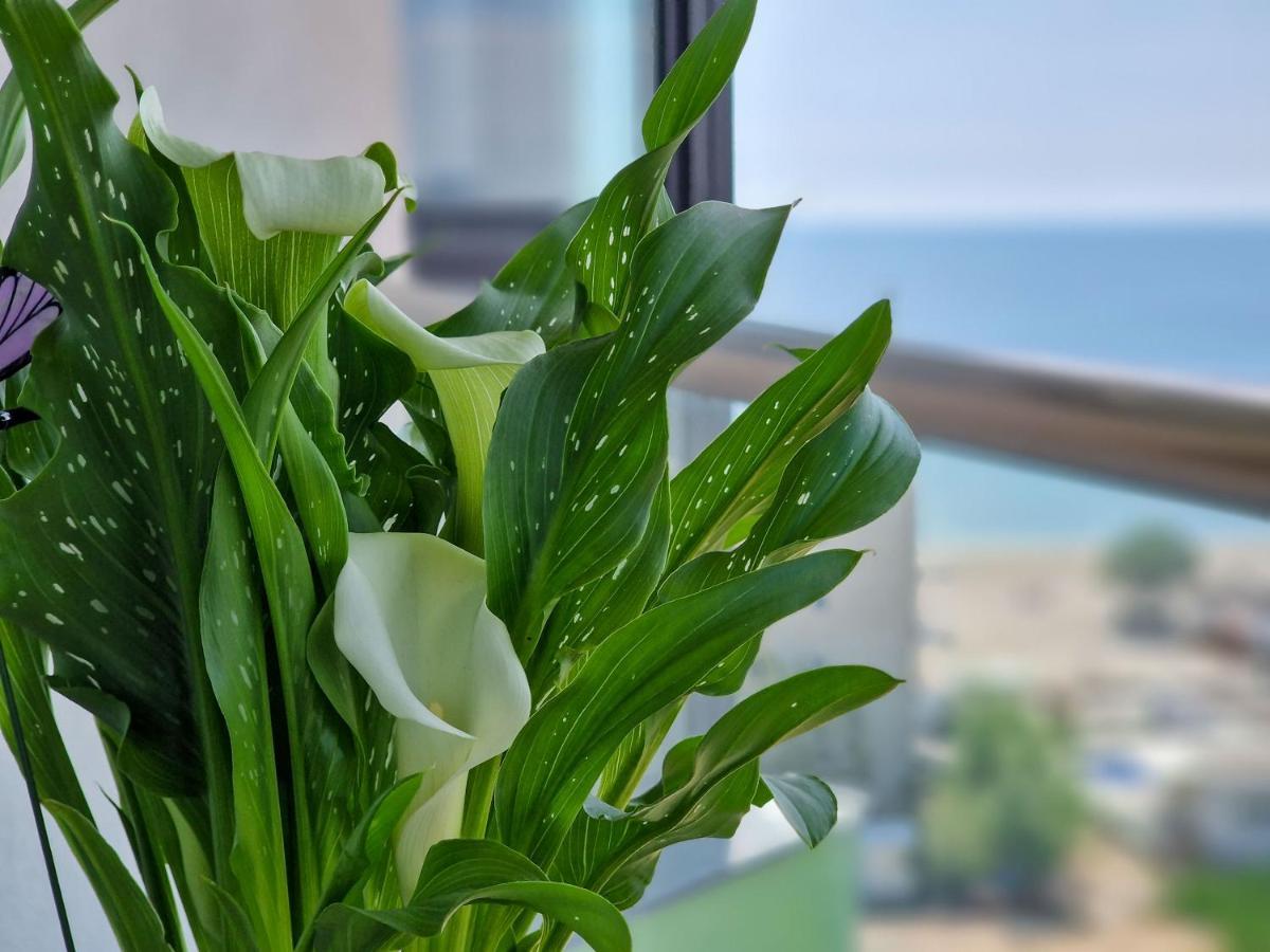 Panoramic Aparthotel Pool & Spa Mamaia Nord Năvodari Екстериор снимка